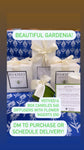 B’s Knees Gardenia Votive Candle