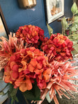 Fall colored Hydrangea
