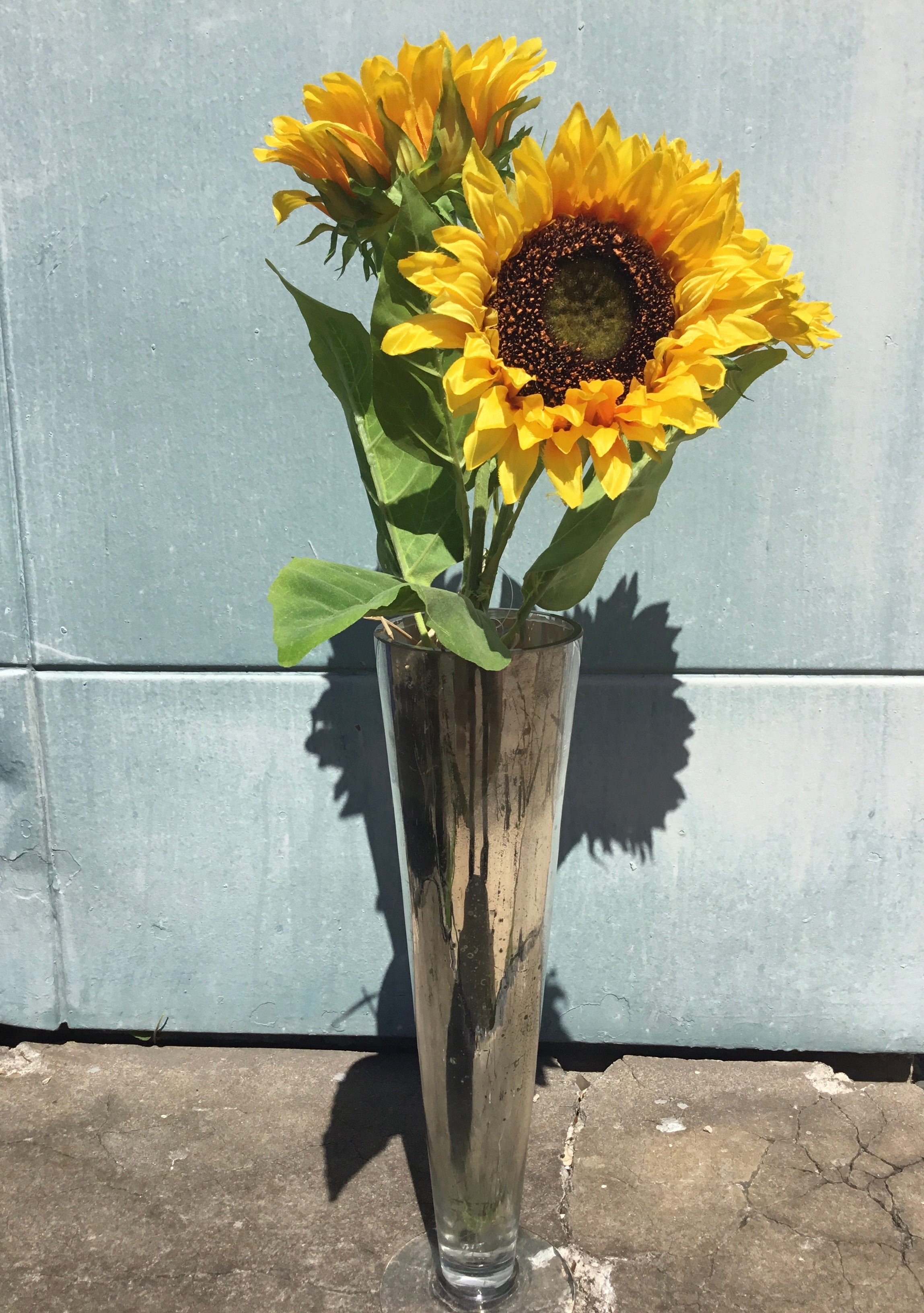 Large Sunflower Bundles